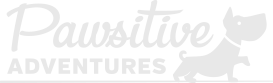 Pawsitive Adventures Logo